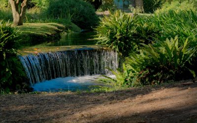 La nuova stagione di visite all’Oasi di Ninfa