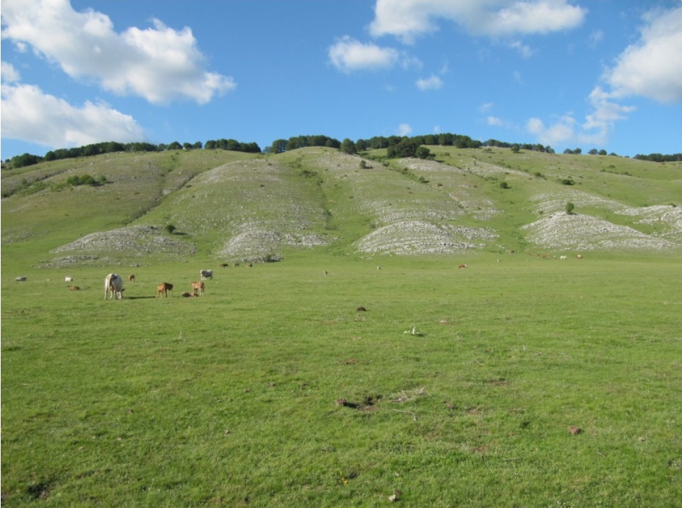 Camposecco - parcomontisimbruini.it