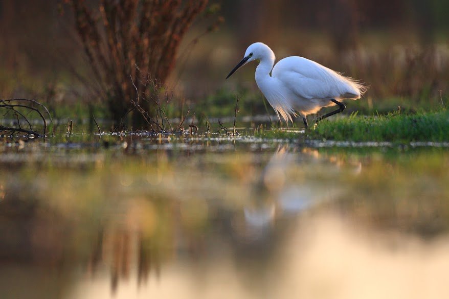 Ferentino, Fiuggi, Fumone, Trivigliano FR LAGO DI CANTERNO