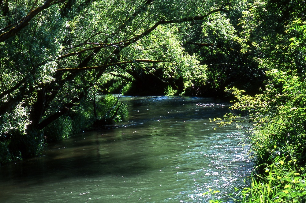 Il fiume Aniene