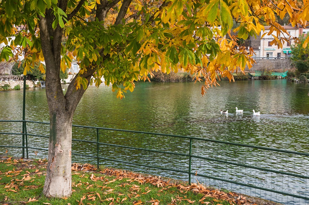 L'atmosfera fiabesca del Lago dei Cigni in località Canetra