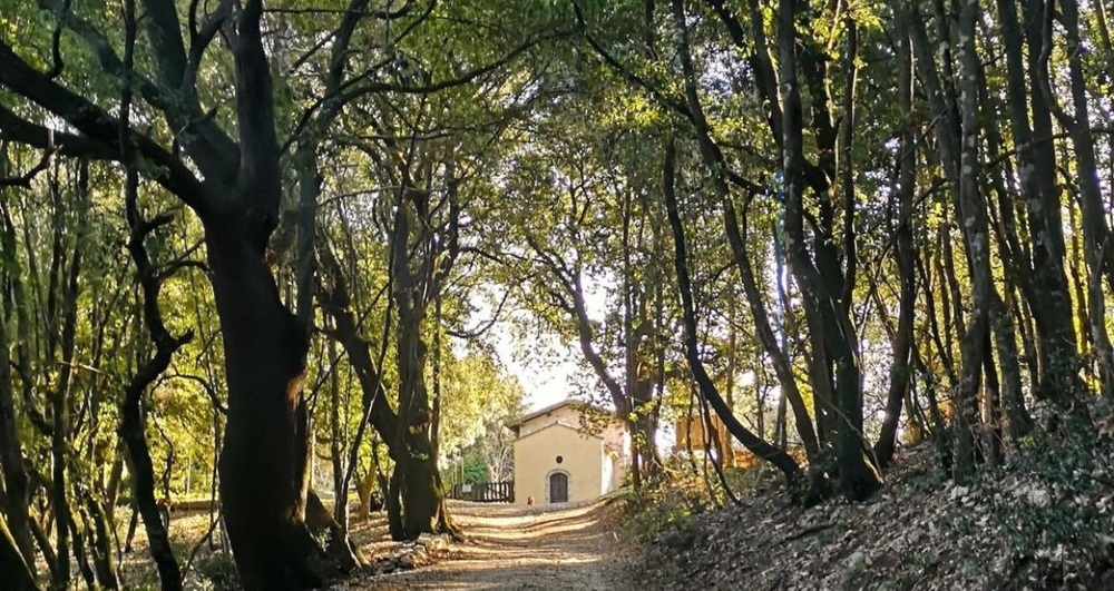 Il bosco Pago - Foto FB Comune di Vacone