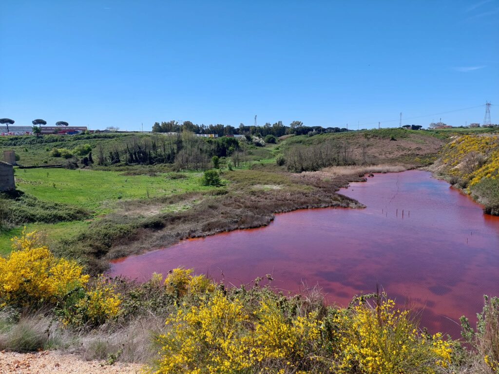 Il lago rosso della Solfatara di Pomezia