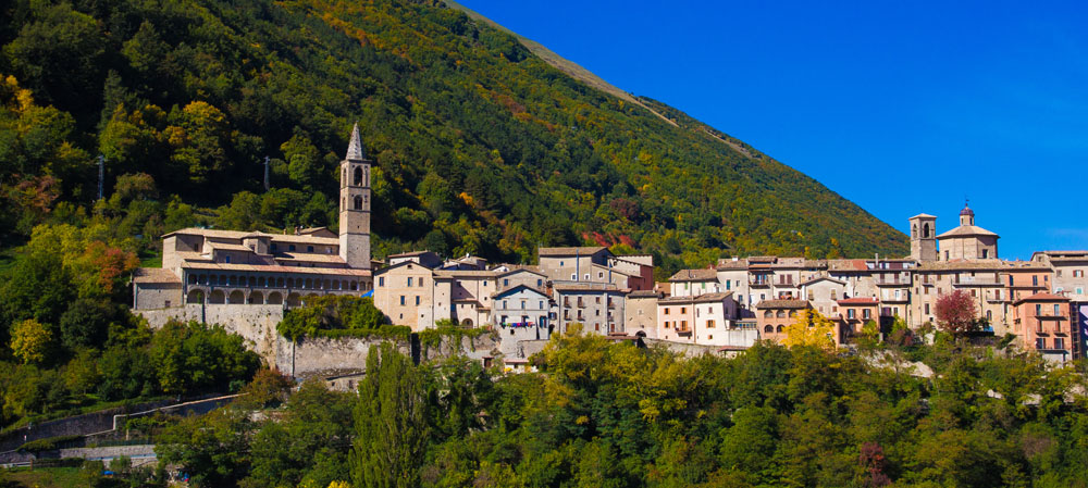 Leonessa immersa nel verde