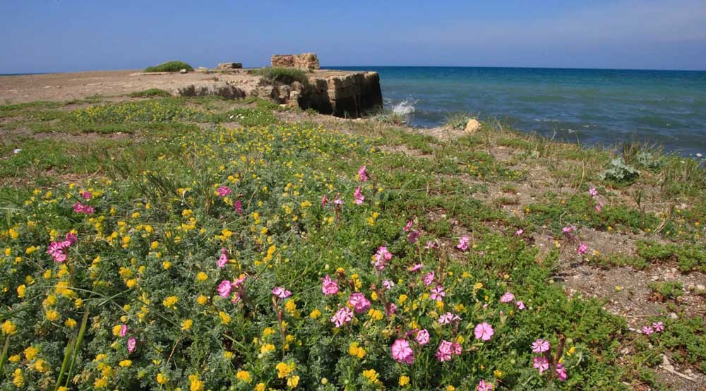 Sapore di estate sulla Riviera degli Etruschi