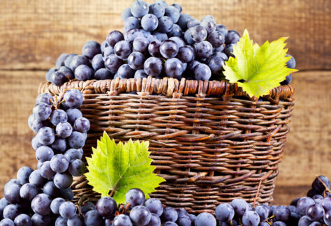 Grappoli di uva rossa e una cesta di vimini - Foto di Nitr da Adobe Stock