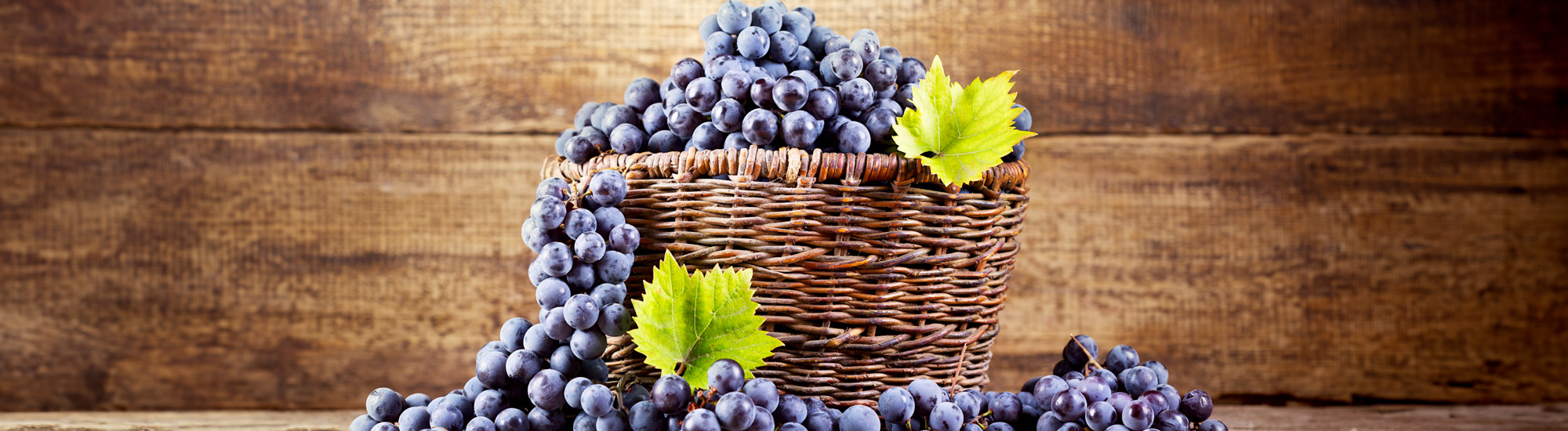 Grappoli di uva rossa e una cesta di vimini - Foto di Nitr da Adobe Stock