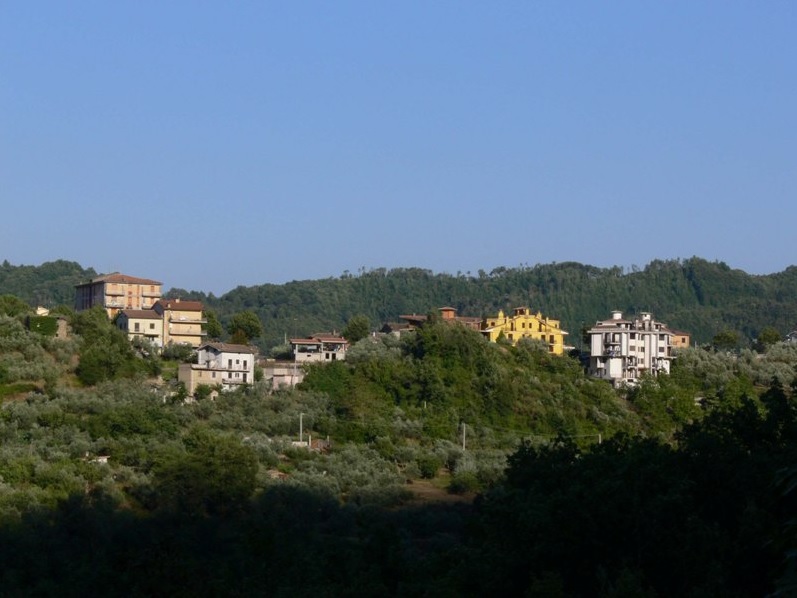 Pisoniano