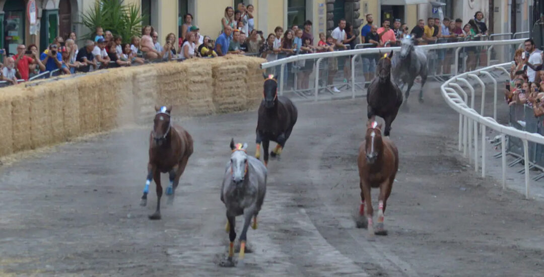 Palio delle Corse a vuoto di Ronciglione