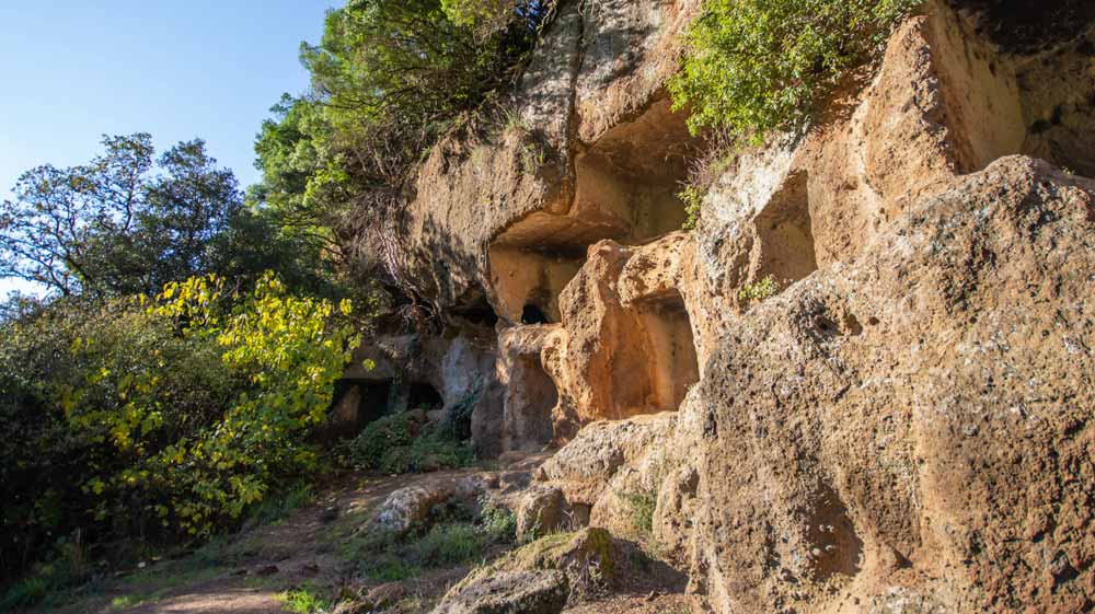 Parco Naturale Regionale Marturanum