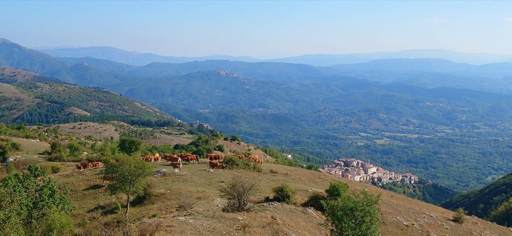 Passeggiate nella natura a Vallinfreda - Foto FB PRO LOCO Vallinfreda