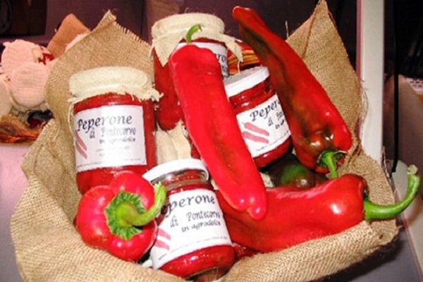 Peperone Cornetto di Pontecorvo DOP