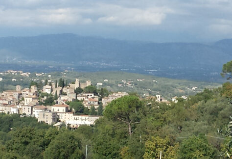 panorama di Pico