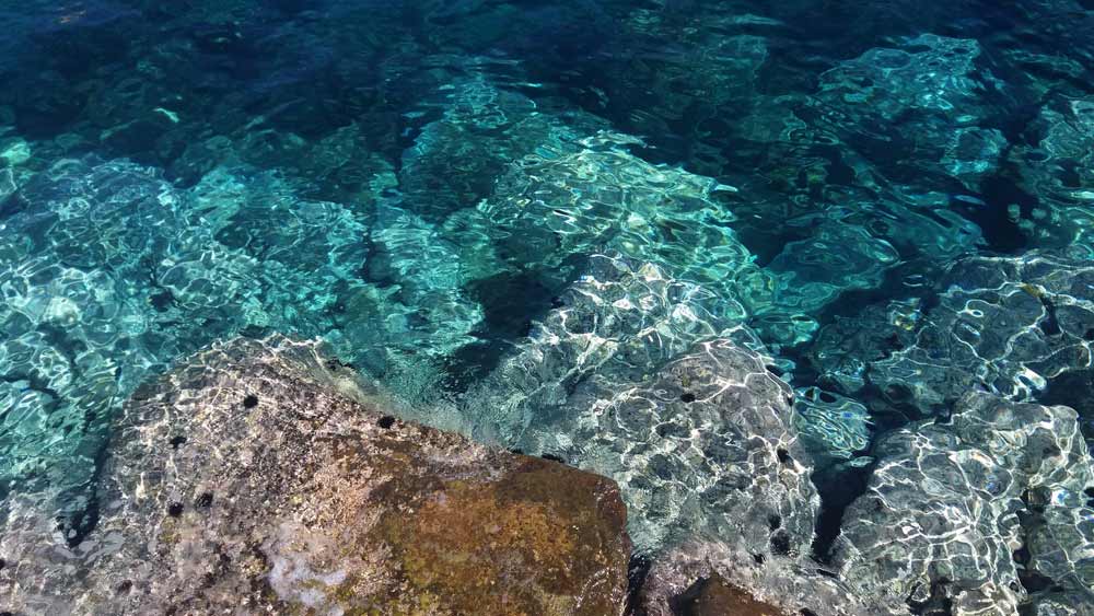 Ponza Cala Feola