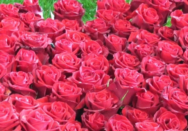 VisitLazio - Sito ufficiale del turismo della Regione Lazio