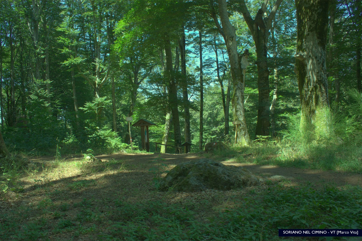 SORIANO NEL CIMINO - VT faggeta vetusta monti Cimini - sasso naticarello