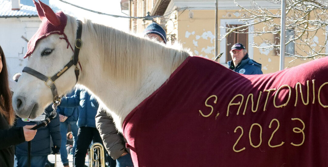 Un culto senza tempo: Sant’Antonio Abate nel borgo di Posta