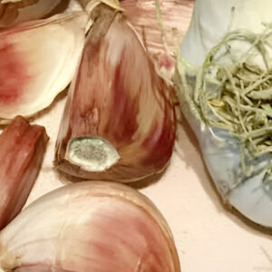 Aglio rosso di Proceno