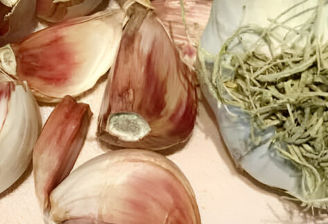 Aglio rosso di Proceno