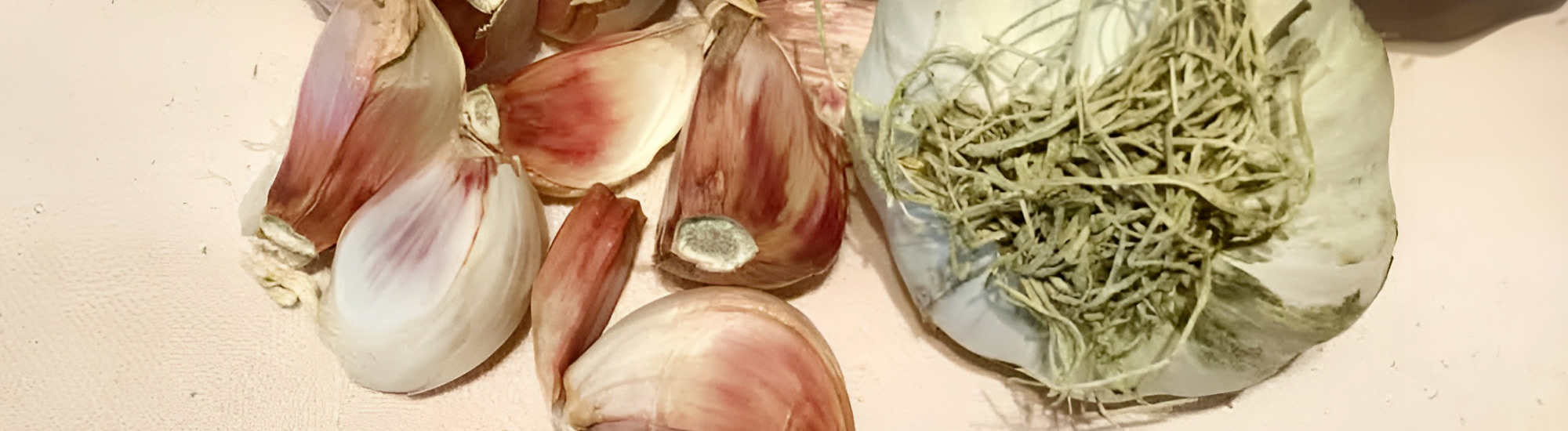 Aglio rosso di Proceno