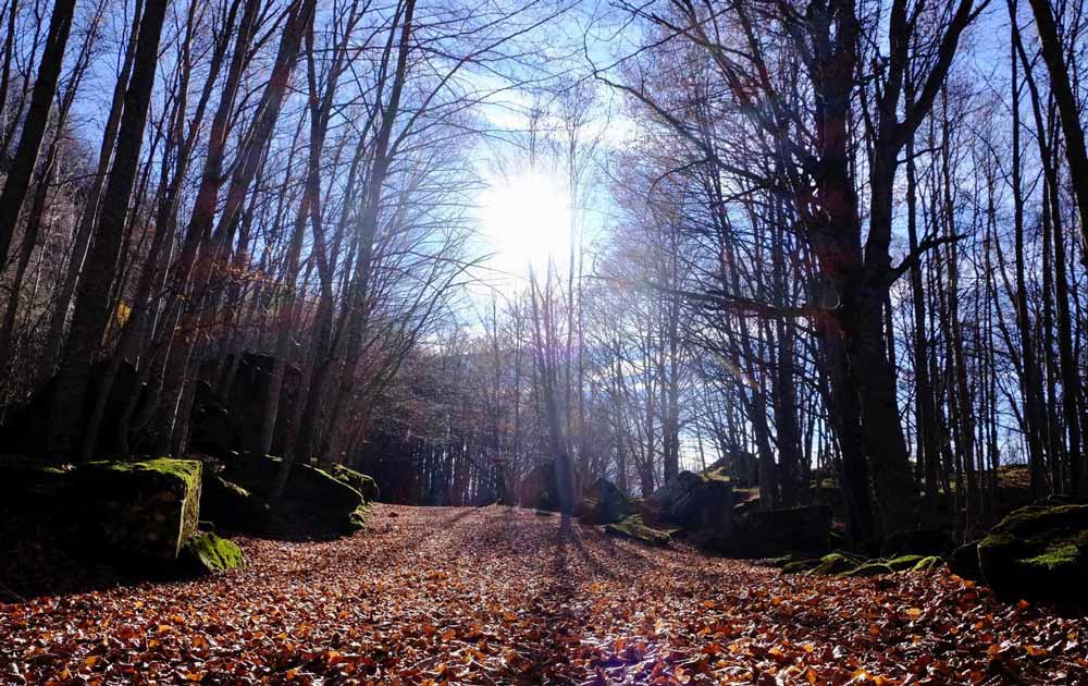 Da Amatrice, come vivere una favola…..