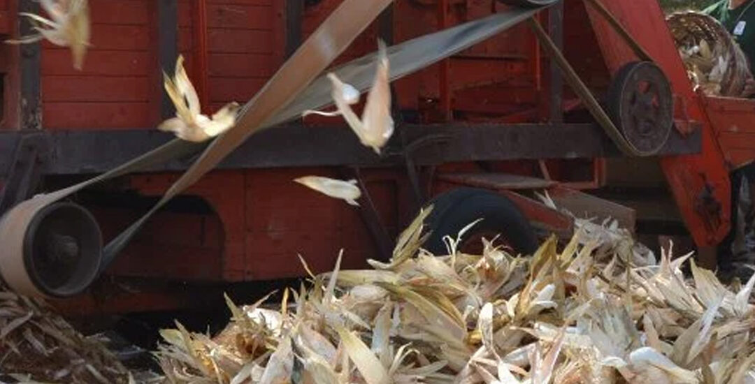 Festa della Sfogliatura e Sgranatura del Granturco