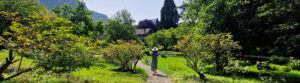 Scorcio del Giardino di Ninfa - Foto Alessandro Cesarini