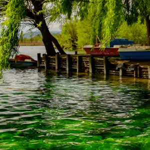 Lago di Posta Fibreno con anatra