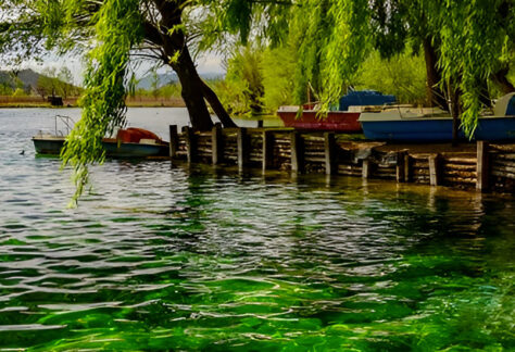 Lago di Posta Fibreno con anatra