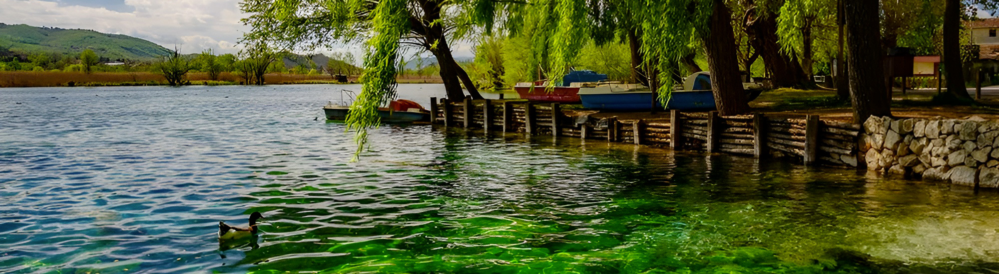 Lago di Posta Fibreno con anatra