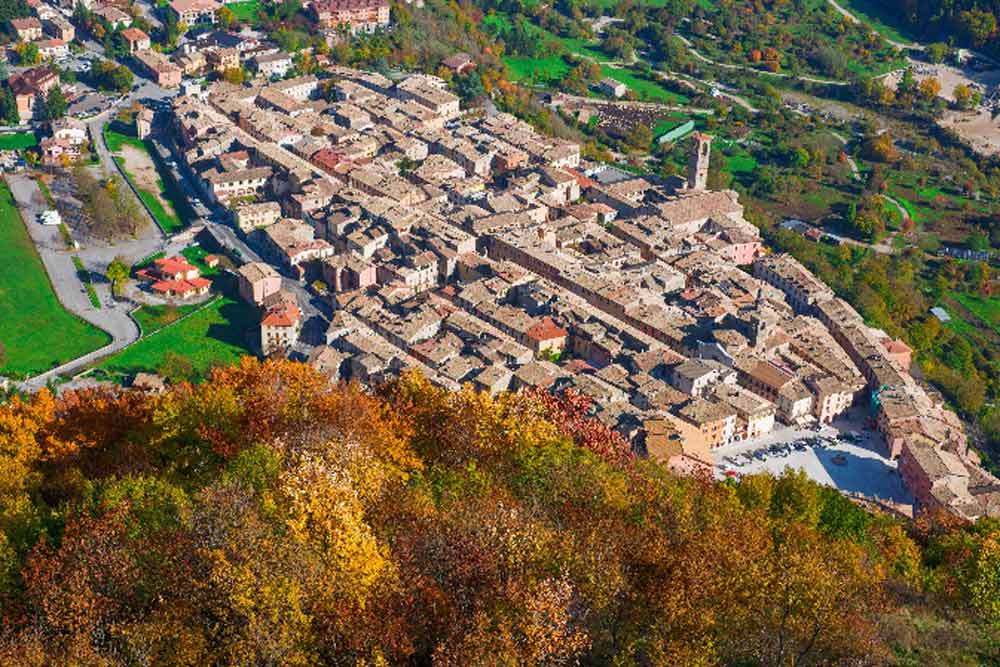 Leonessa dalla pianta a mandorla