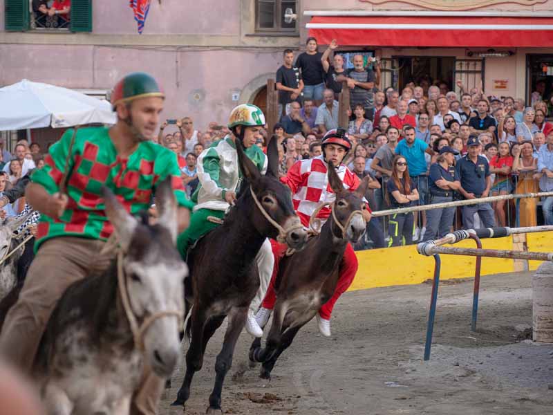 Palio delle Contrade di Allumiere