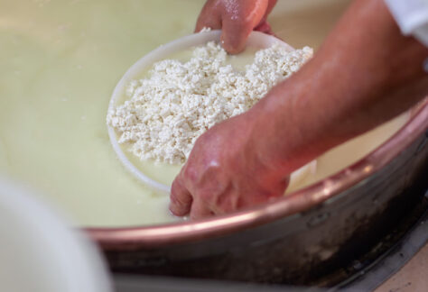 Casaro lavora al pentolone per produrre ricotta - Foto di Fotopogledi da adobe Stock