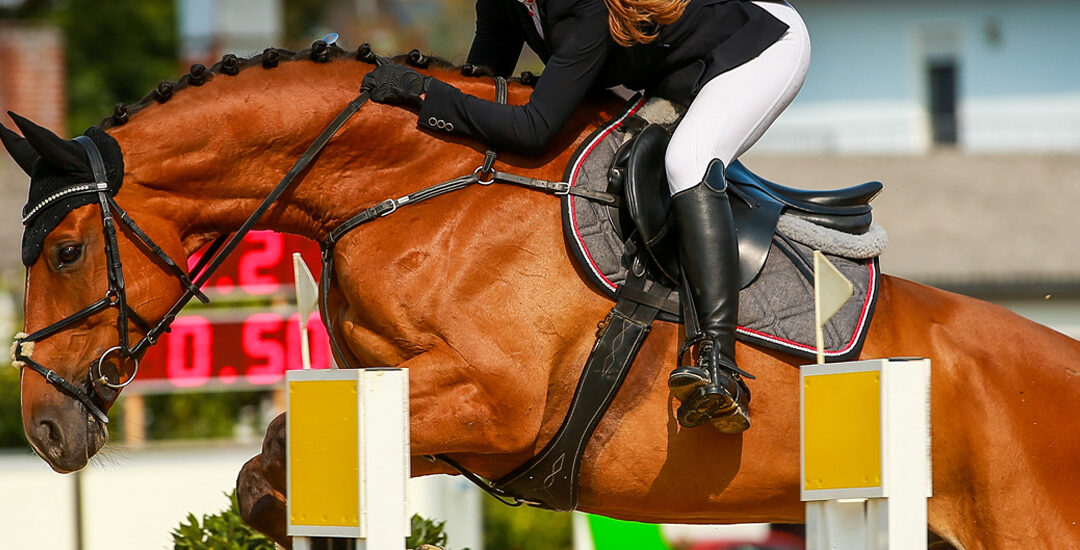 Great Horsemanship at Piazza di Siena
