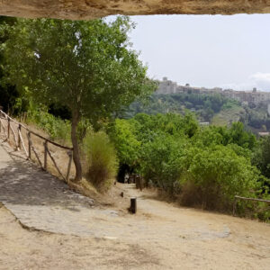 Segni - mura poligonali