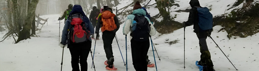 Gruppo di persone impegnate in una ciaspolata  in un bosco sul Monte Terminillo
