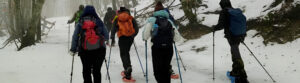 Gruppo di persone impegnate in una ciaspolata in un bosco sul Monte Terminillo