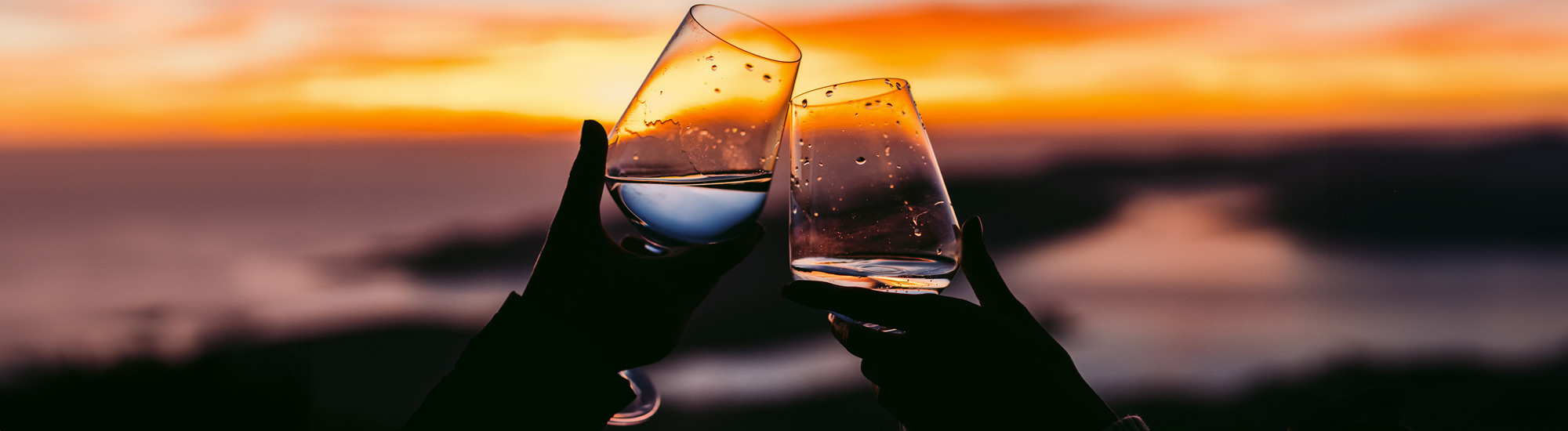 Vino Cerveteri Enogastronomia VisitLazio