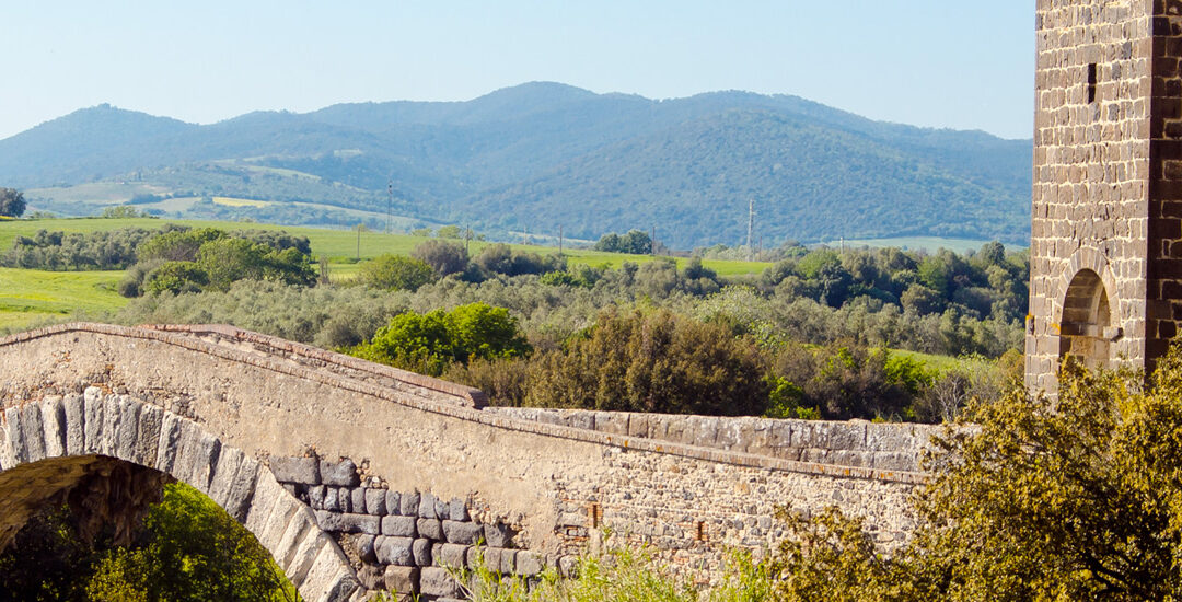 L’estate nel Parco naturalistico di Vulci