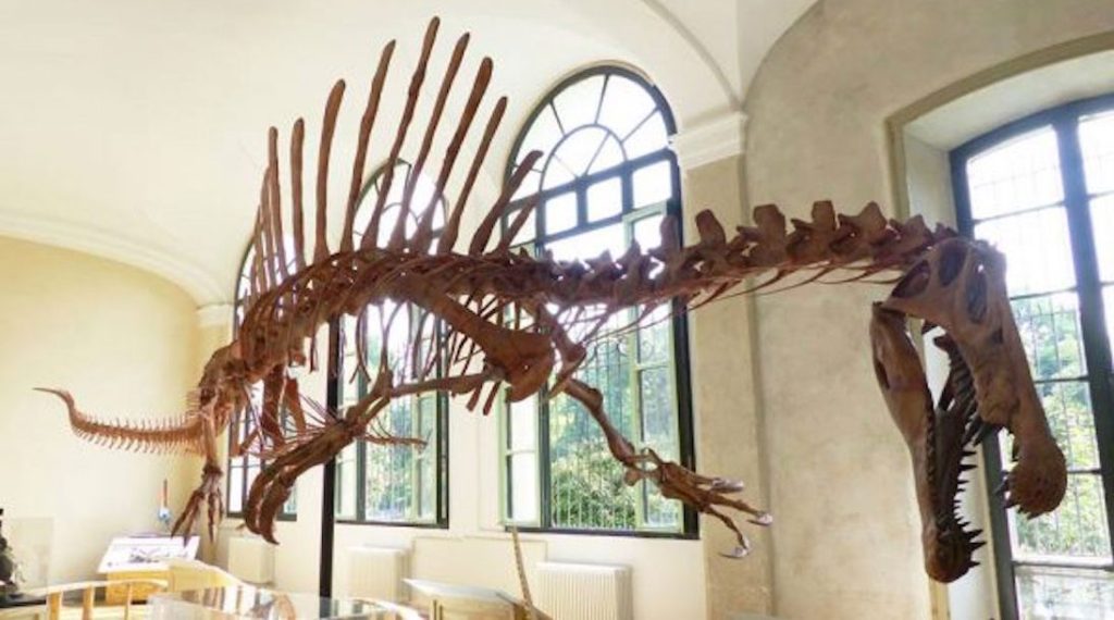 Il dinosauro Tito @montiprenestini.info