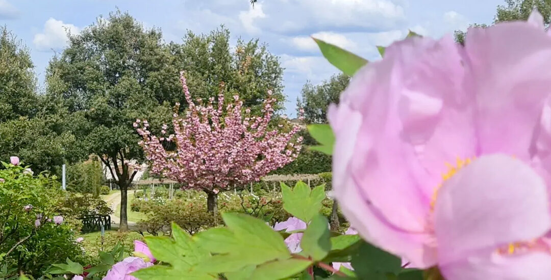 Il ponte del 25 aprile nella Natura del Lazio