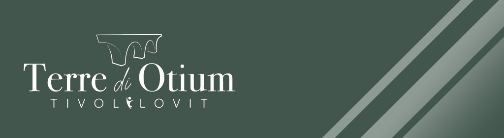 Logo DMO Terre di Otium
