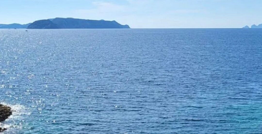 Balena tra Terracina e Ponza. Che spettacolo!