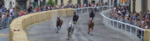 Cavalli impegnati durante la Corsa a Vuoto di Ronciglione a S. Bartolomeo