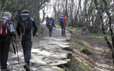 Giornata del Camminare 2023, il 14 e 15 ottobre