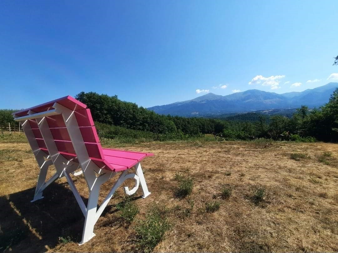 Big Bench n. 246 ad Amatrice