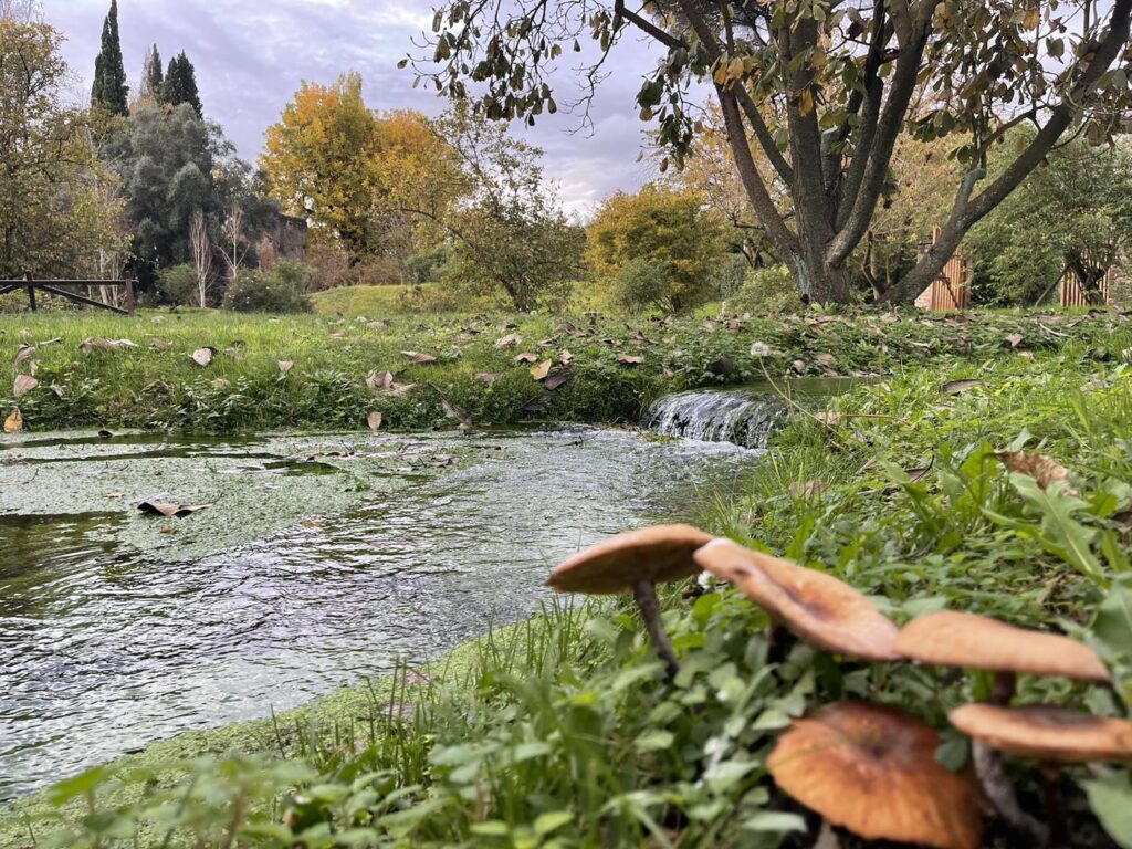 Giardino di Ninfa