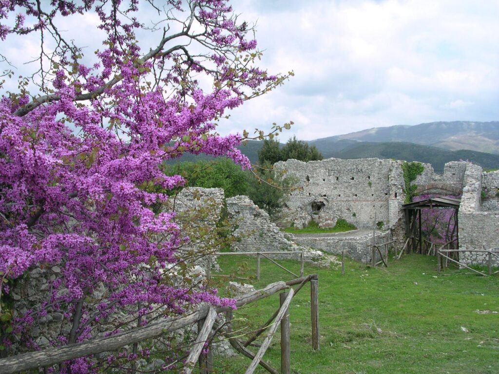 Castrum di Castiglione vicino Palombara Sabina
