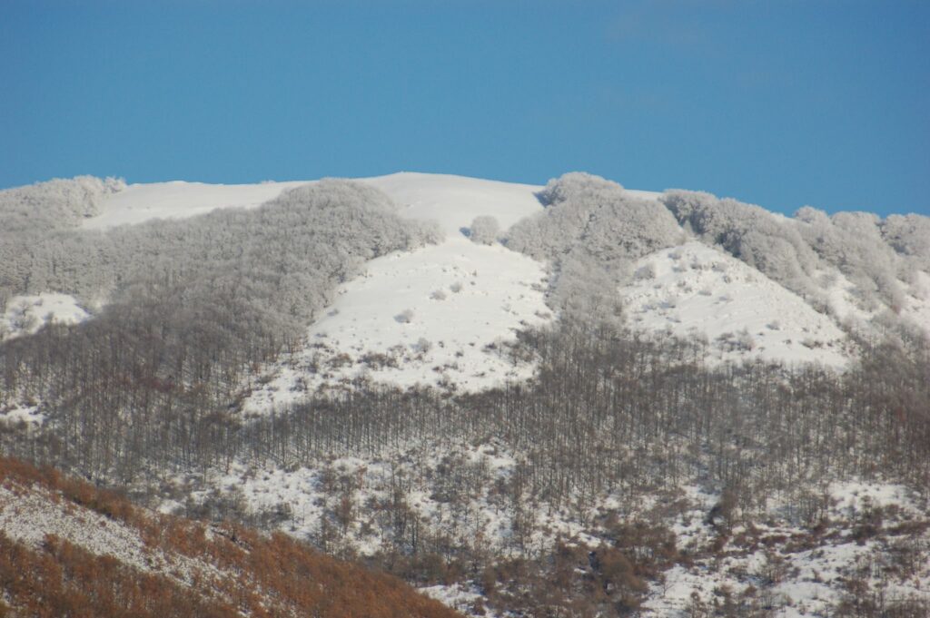 Veduta del monte Pellecchia 