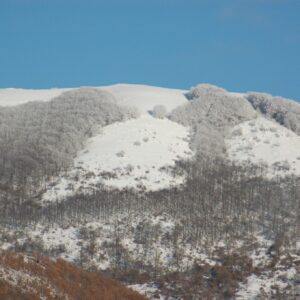 Veduta del monte Pellecchia da Monteflavio